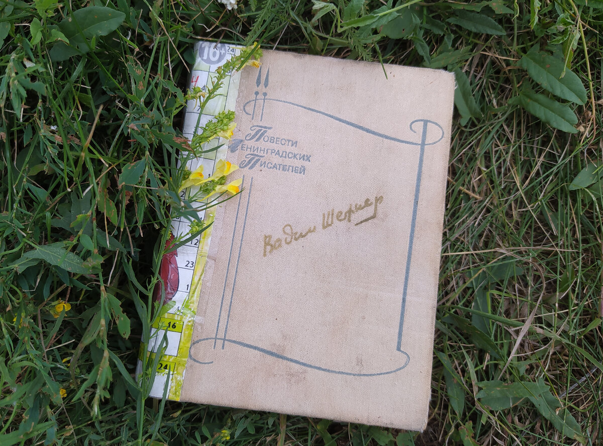 Фото автора