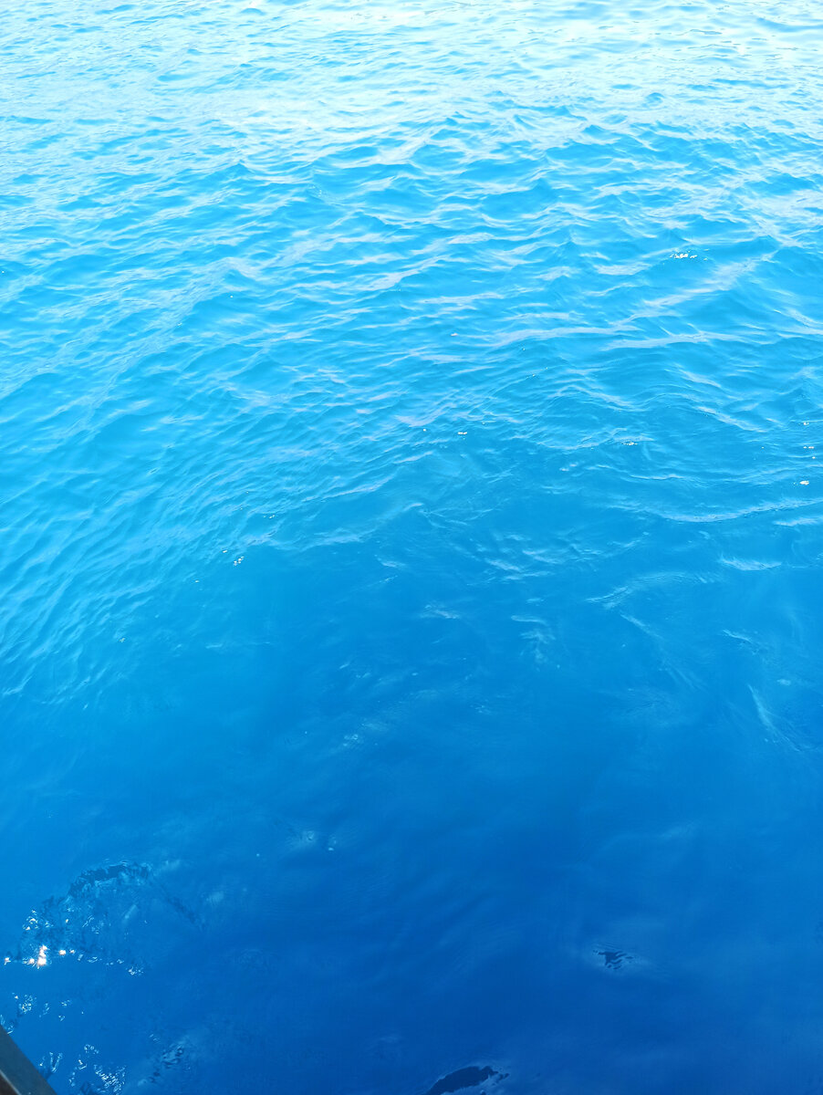 Фото снято автором канала КотоСобака