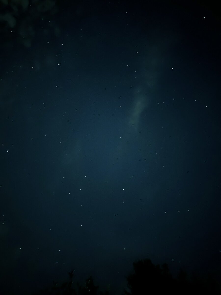 Автор: Алексей Моисеев. Московская обл., 2022