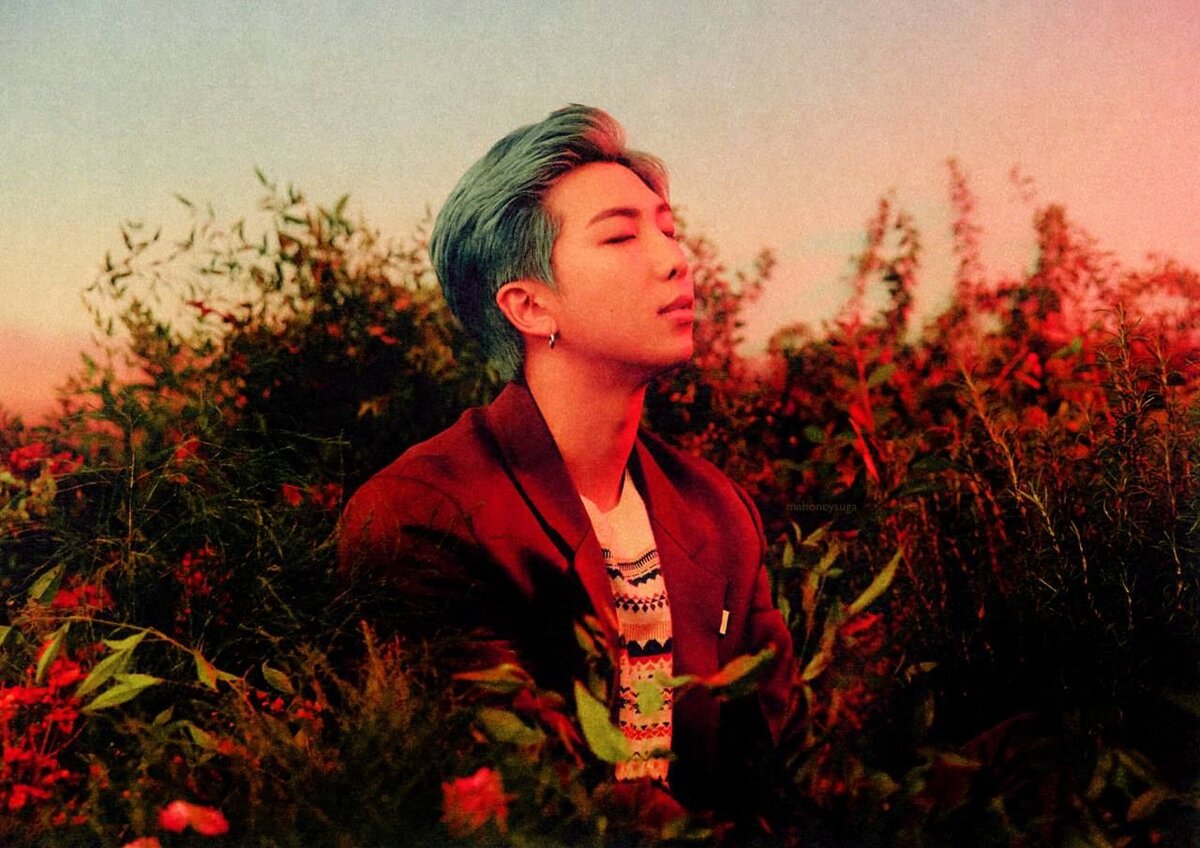 Ким Намджун