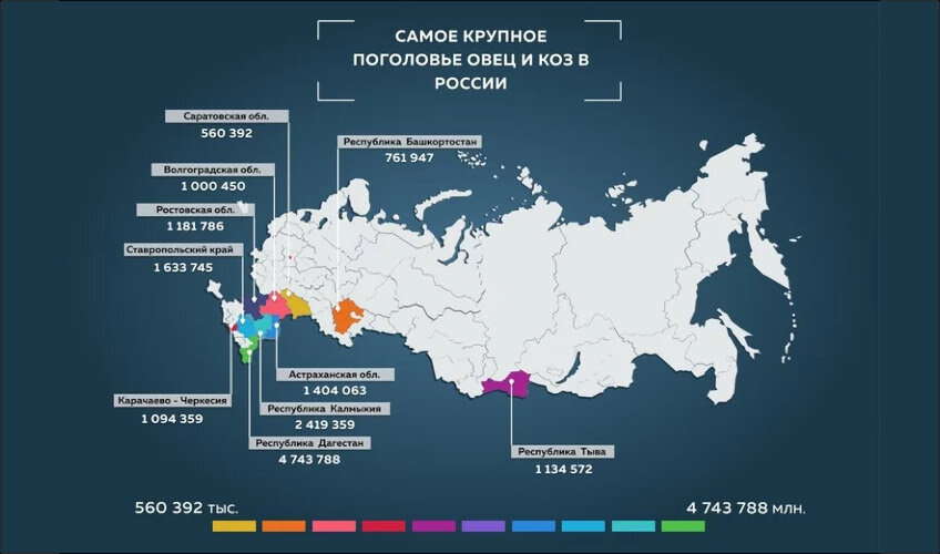 Регионы с наиболее крупным поголовьем мелкого рогатого скота