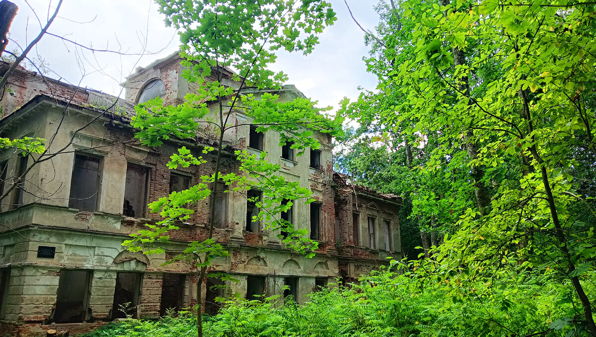 Дубровка. Усадьба Н.М. Свечина