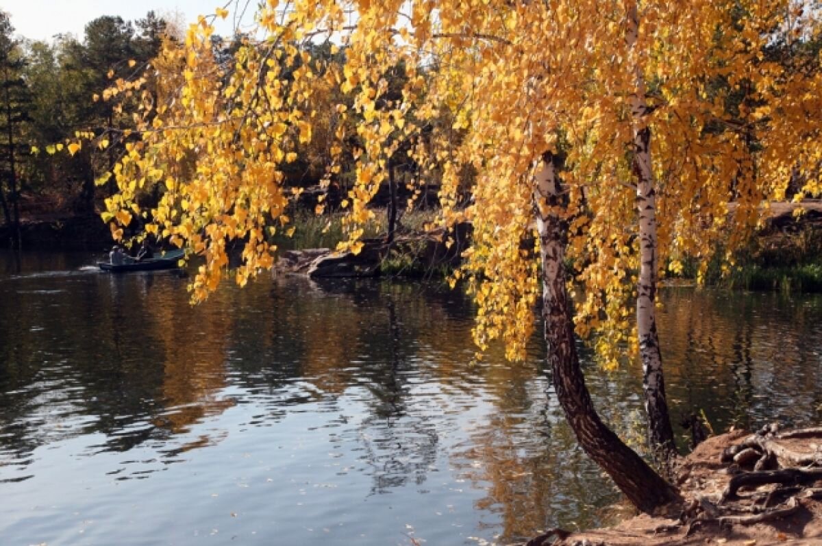    О наступлении «бабьего лета» сообщила главный синоптик Свердловской области