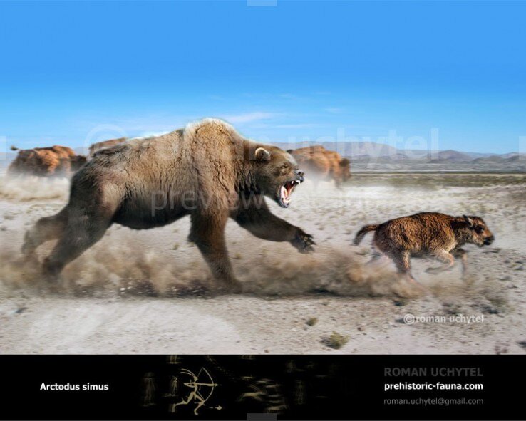  Ах ты сорванец, а ну вернул лопатник!