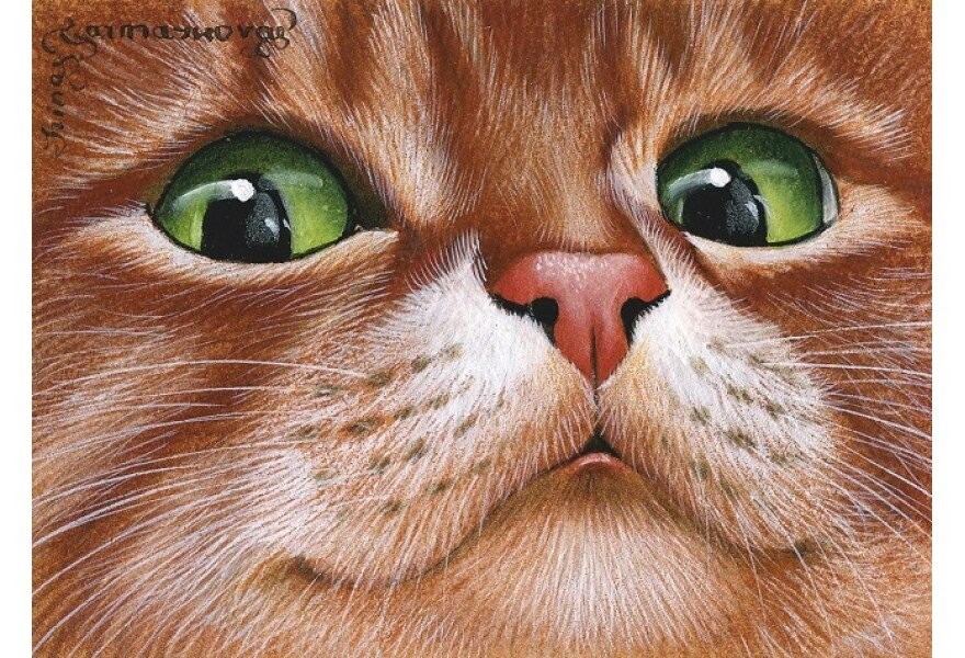 ���������� �����