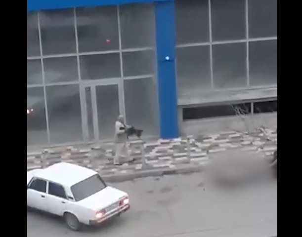    На юге России в Крымске неизвестный устроил стрельбу на улице, есть погибшие Белов Михаил Александрович