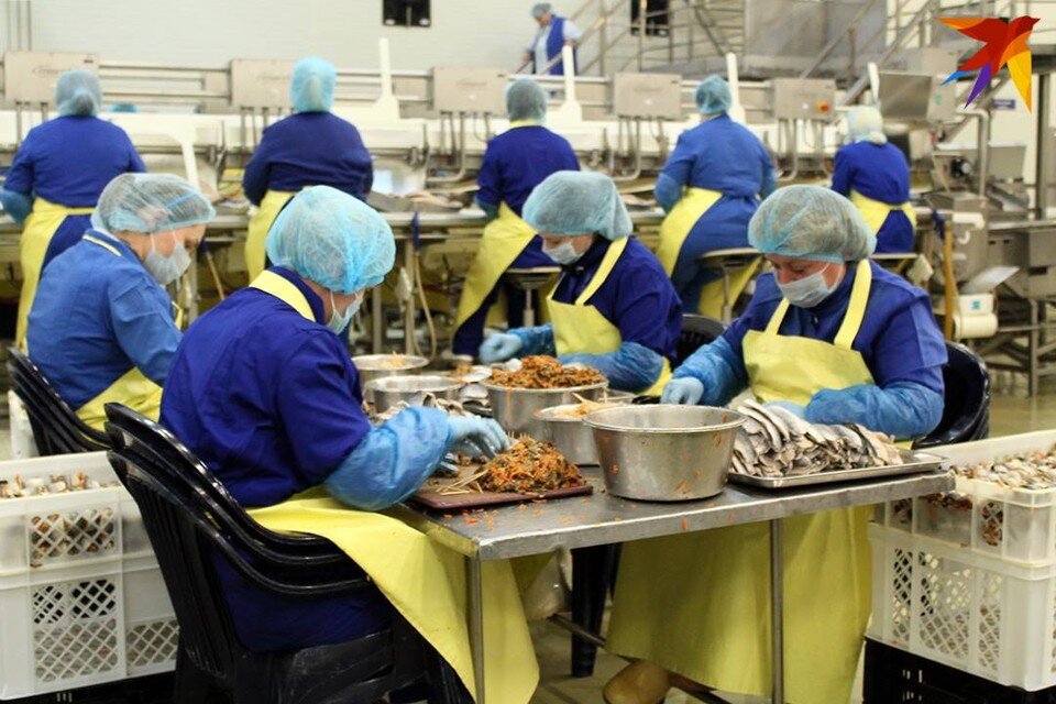     Для выхода на пенсию в 2023 году в Беларуси работникам надо 19 лет страхового стажа, но некоторым будет достаточно 10 или даже 5 лет. Оксана БРОВАЧ