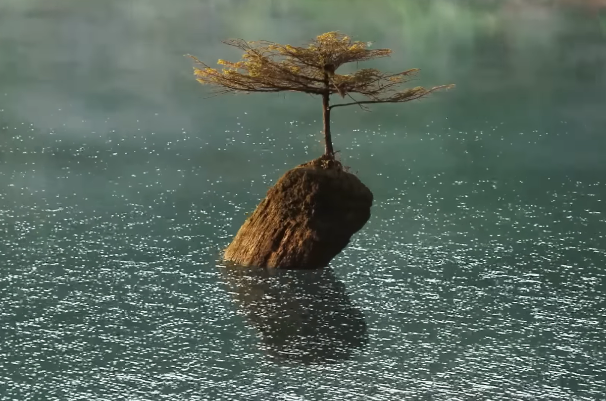  остров Ванкувер