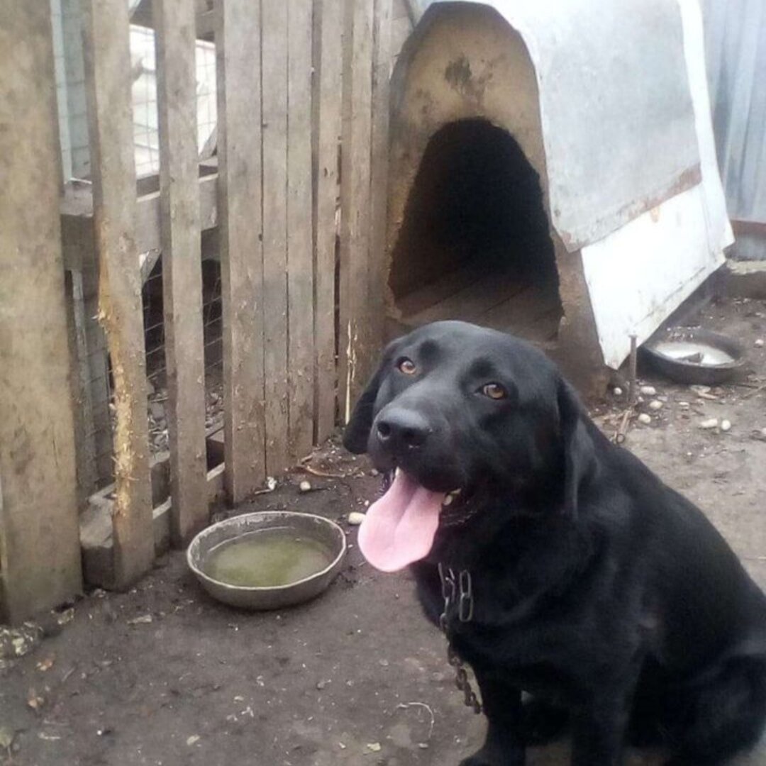 Девочка в очень добрые руки 😟