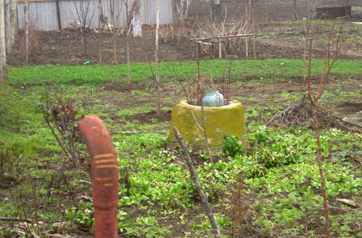 Участок со старым "бассейном"по соседству. От прежних хозяев здесь ничего не осталось, даже дома. Только этот бассейн.  А новые хозяева,, которые закладывают здесь молодой сад, тоже не спешат от него избавляться. Интересно, почему?  Буду наблюдать, дадут ли ему вторую жизнь.