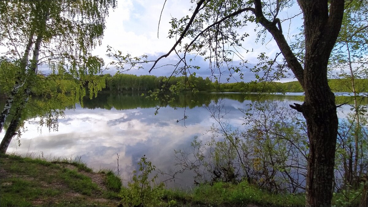 Бурцевское озеро нижегородская область