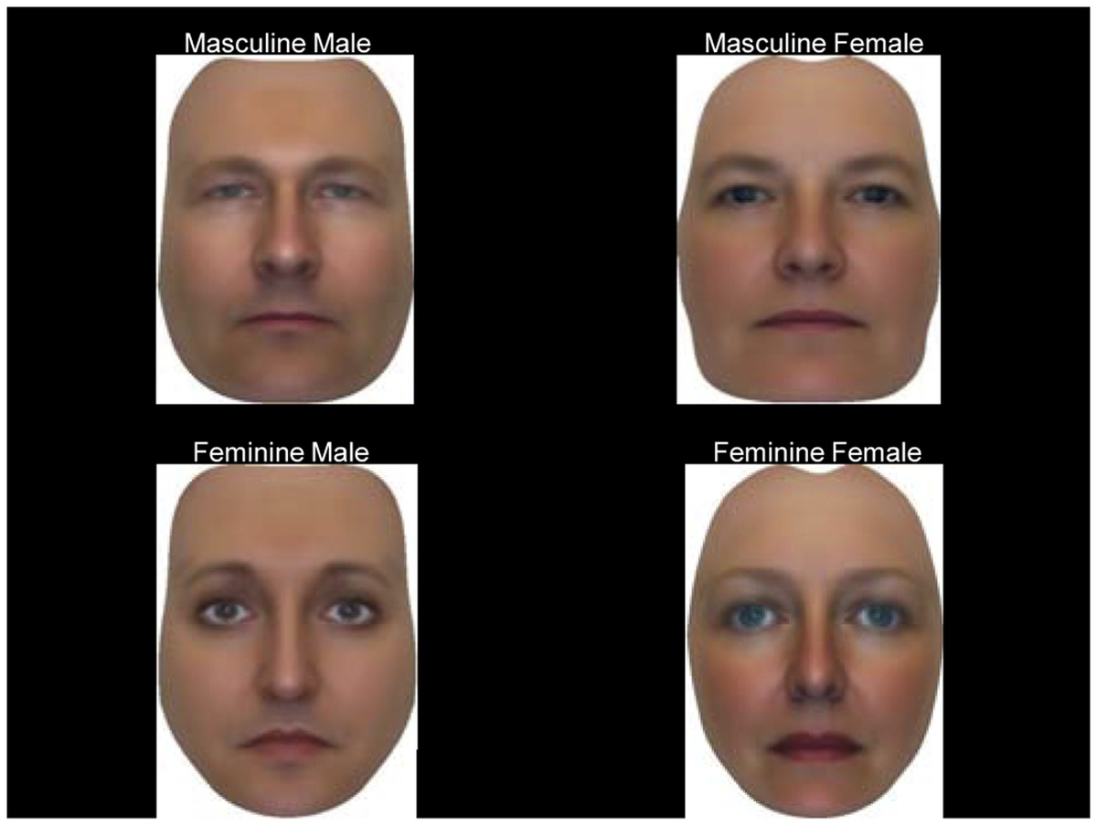 Каждой лицо. Feminine masculine внешность. Маскулинное лицо. Феминные черты лица. Феминность внешность девушек.
