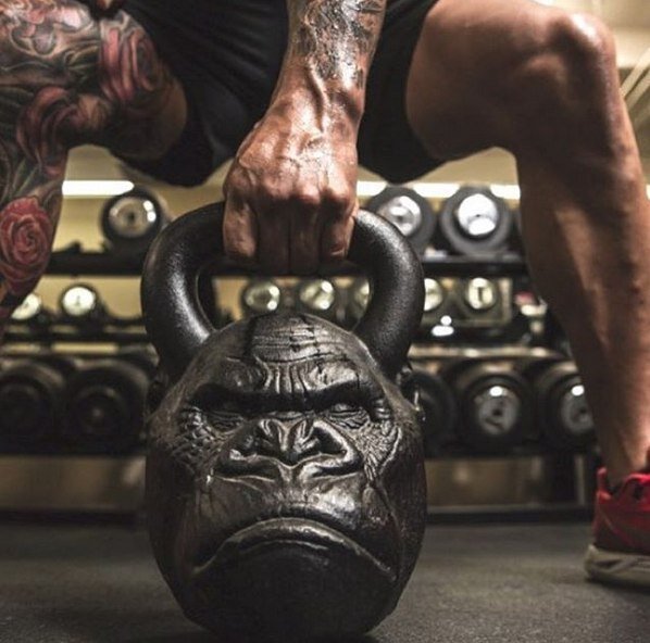 Изображение взято из открытых источников