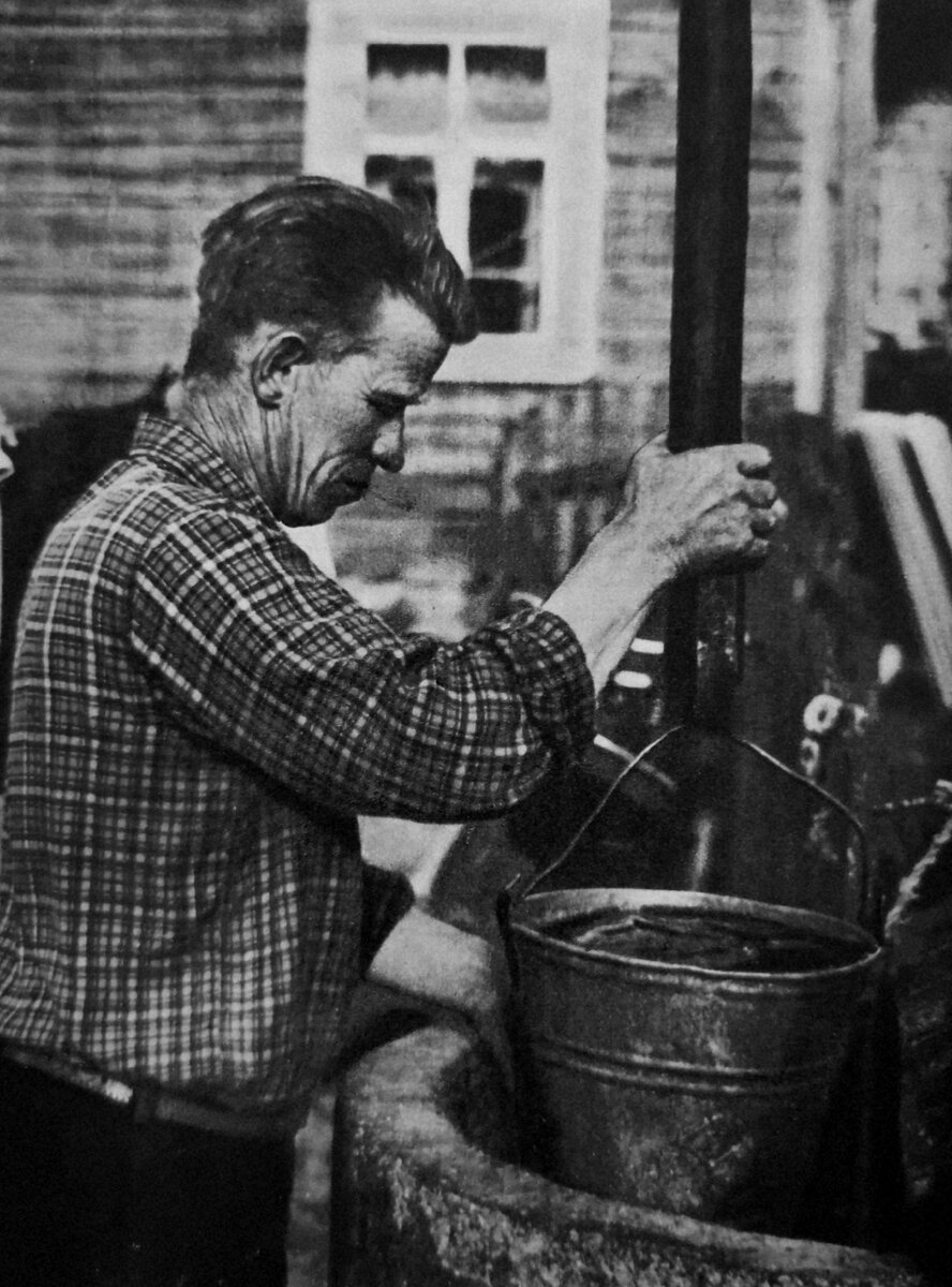 Михаил Казёл