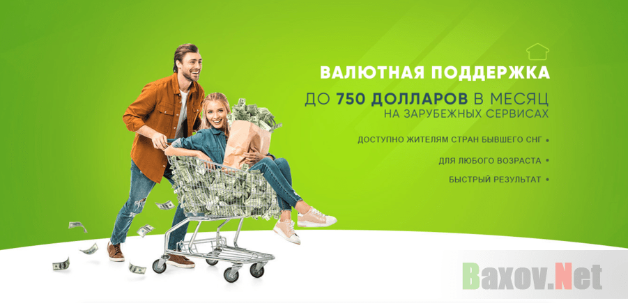 Валютная поддержка - сомнительный курс от Александра Ханина - развод или правда. Честный отзыв от Baxov.Net