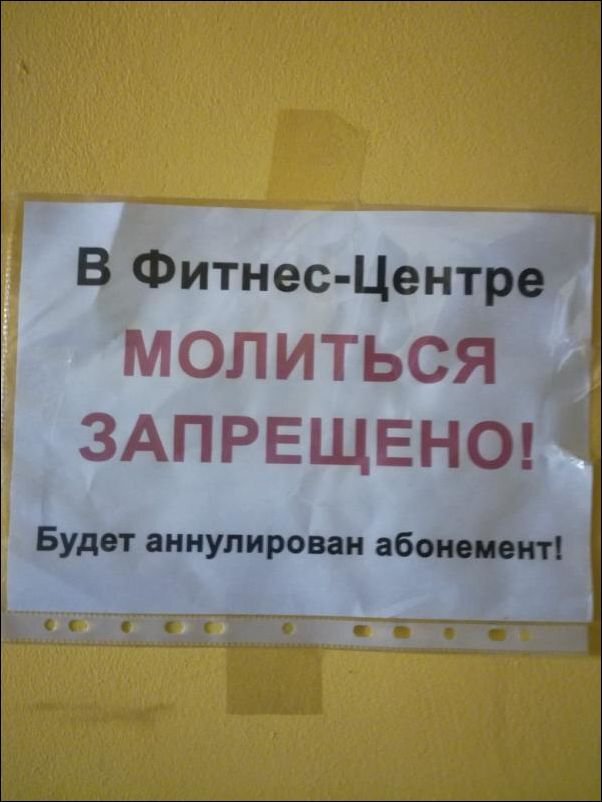 картинка находится в свободном доступе