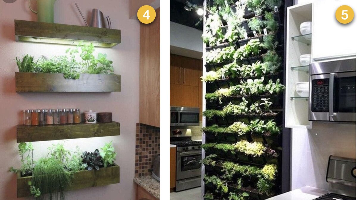 Коллаж из фото с сайта Pinterest.com.