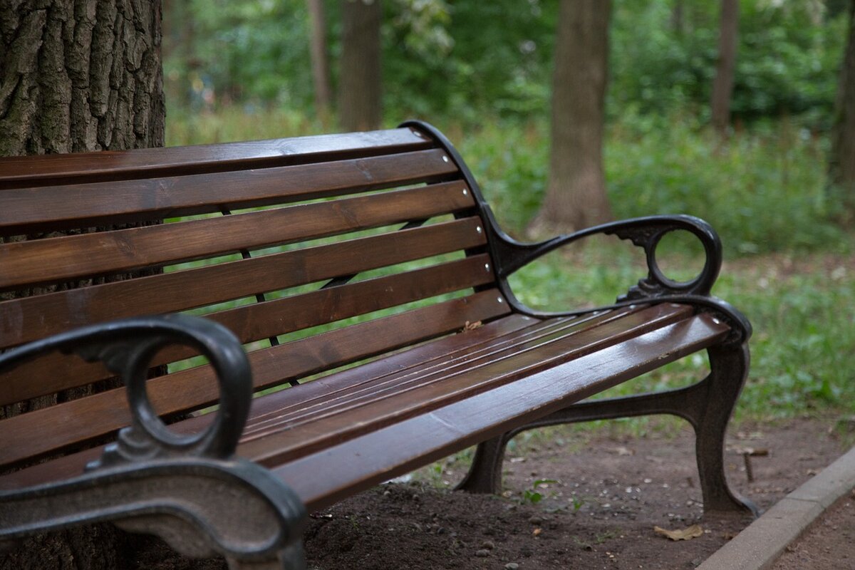 фото с сайта pixabay.com