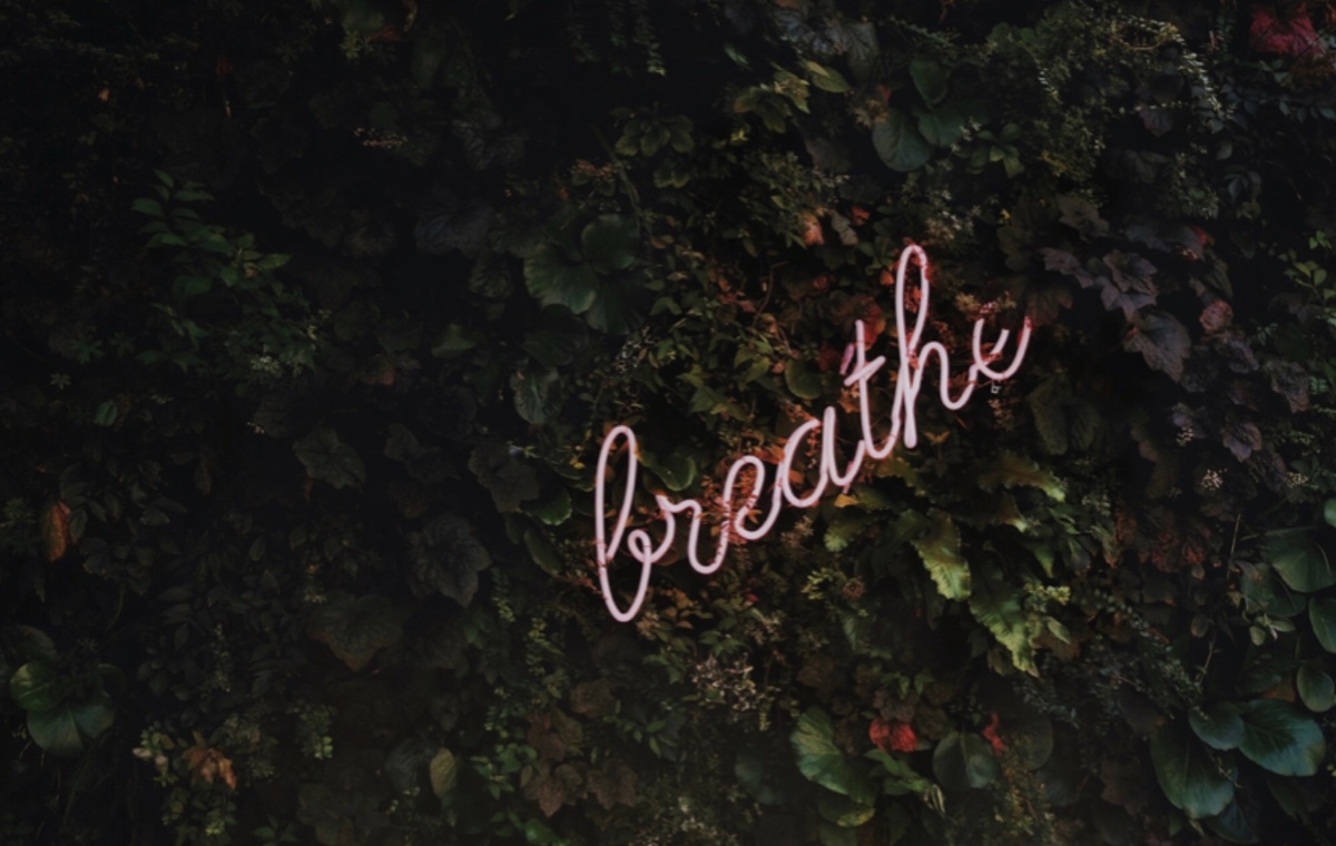https://images.unsplash.com/photo-1502139214982-d0ad755818d8?ixlib=rb-1.2.1&q=80&fm=jpg&crop=entropy&cs=tinysrgb&dl=tim-goedhart-vnpTRdmtQ30-unsplash.jpg