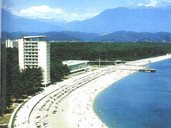 Горящие туры пицунда. Оп пицунда пансионат. Forest club пицунда. Горящие туры пицунда. Литфонд пицунда.