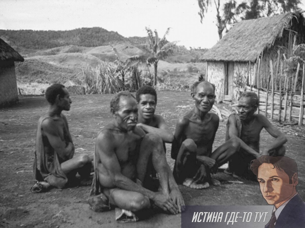 Перед вами представители племени Форе, живущих где-то в районе Новой Гвинеи. Раньше они были каннибалами, но теперь едят фрукты и овощи. А людей не едят. 