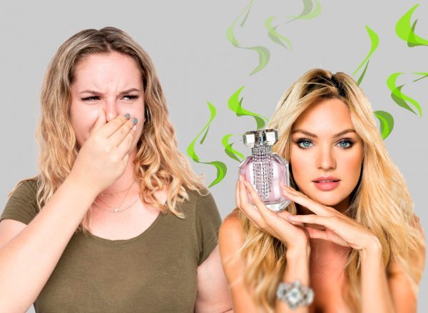 У каждой женщины найдется очаровательный флакончик с ароматом, от которого она без ума. Пристрастия к запахам подчас не зависят от цены, но люксовые бренды все же нравятся чаще. И каково бывает удивление, когда люди шарахаются от «надушенной» женщины, как от огня, в спешке закрывая носы.