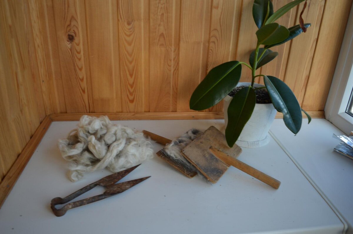 Ножницы для стрижки овец, теребилка для шерсти. Фото И.Вахтеровой