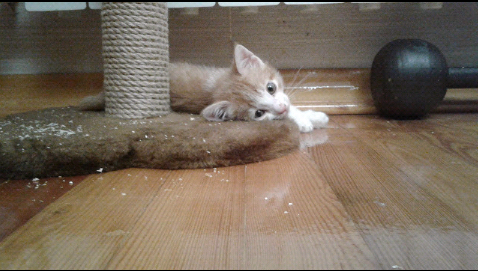 Немного скучаю по братишкам