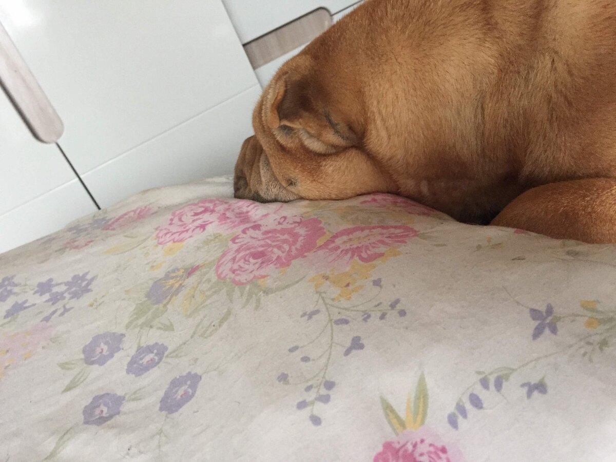 Законная лень - это осознанное времяпрепровождение