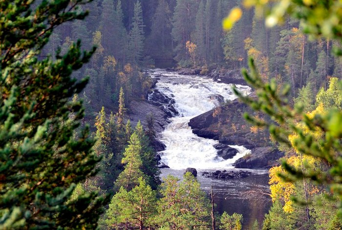 Автор фото не известен. Если вы его знаете, сообщите об этом в комментариях.