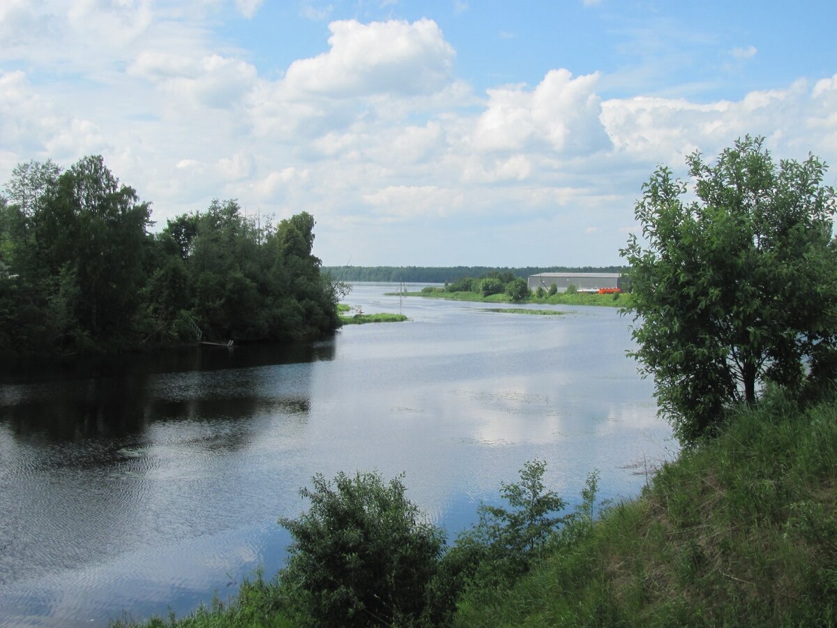 Устье Мги. Вдали Нева