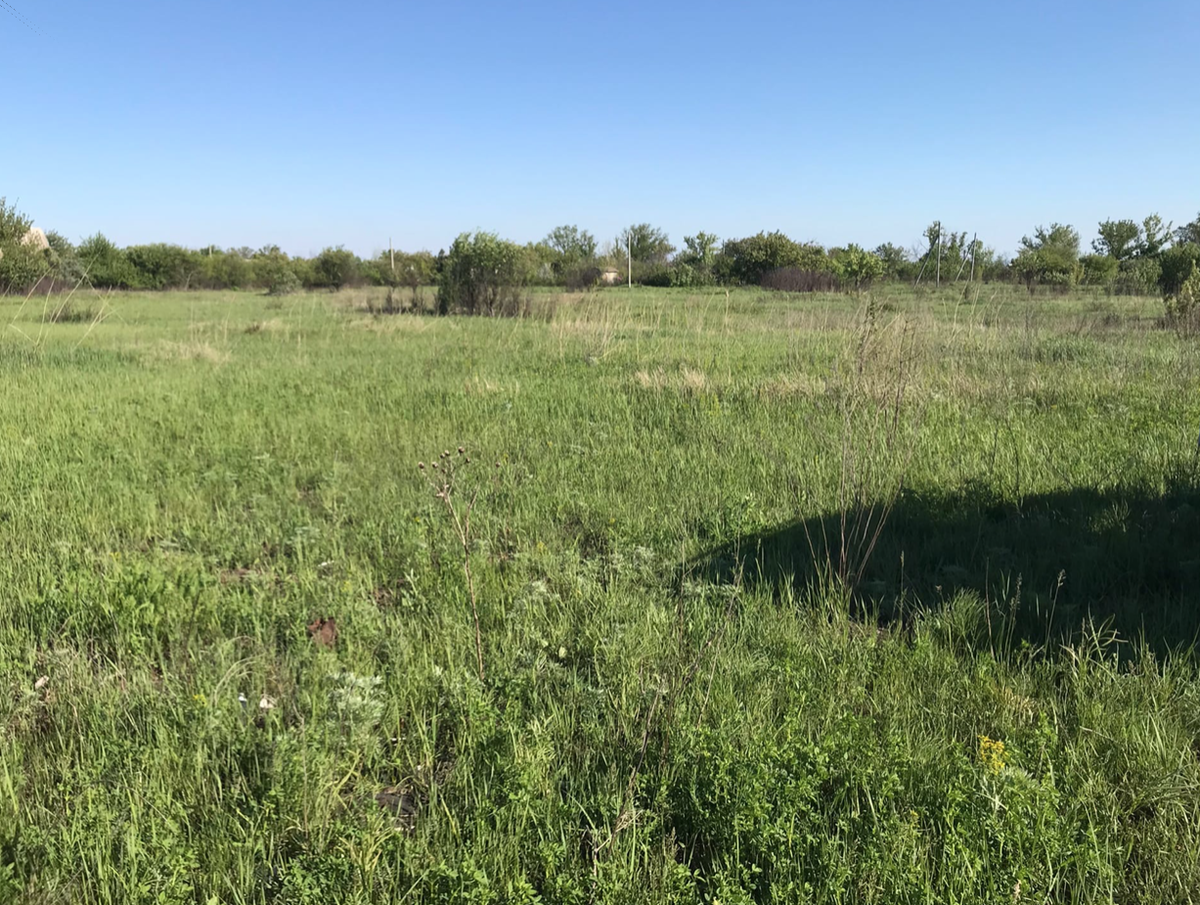 Заброшенные дачи в СНТ под Ростовом на Дону 