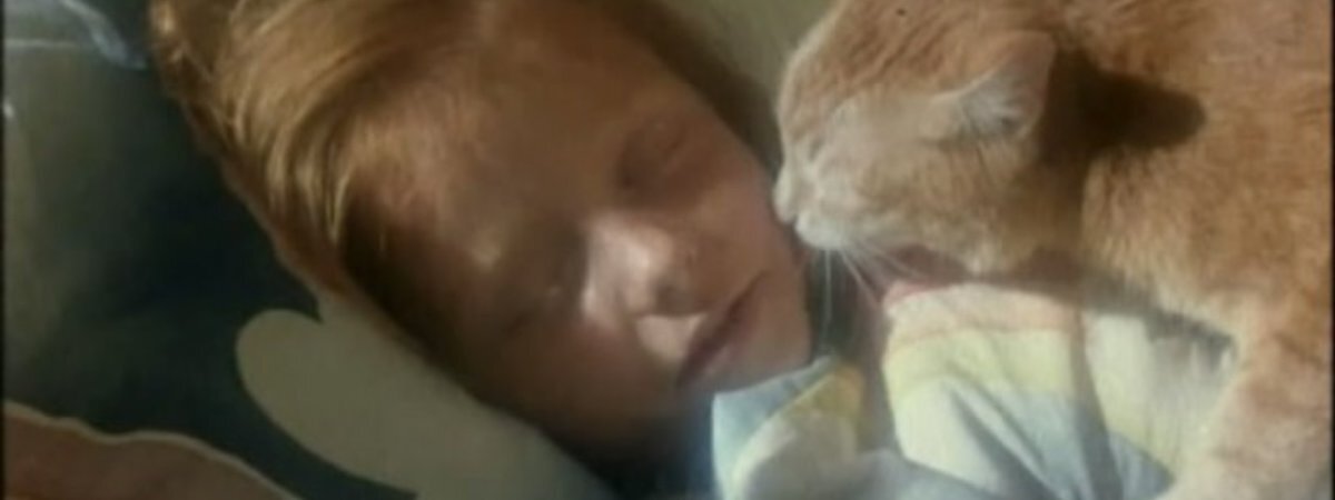 Странная белая кошка томасина. Томасина безумная Лори. Безумная Лори (1991)