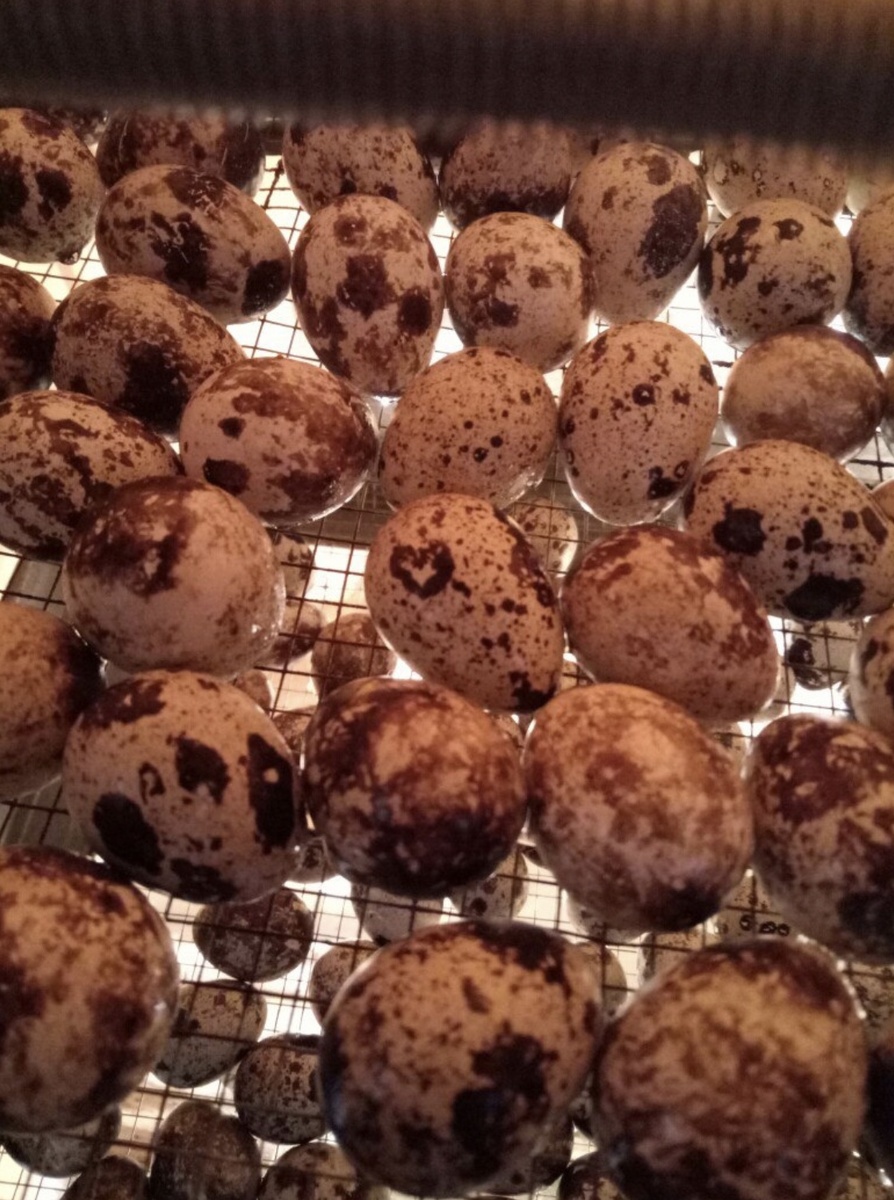 Сердечная тема продолжается, кто найдёт сердечко, пишите😜