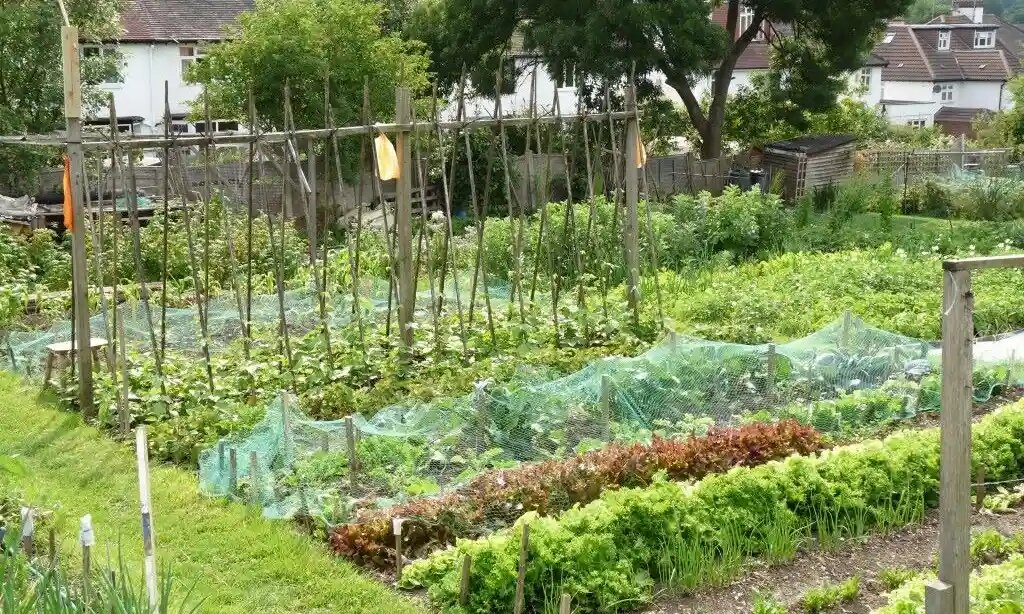 "Ухаживать за землей, производить, трансформировать - не говоря уже о том, чтобы избавиться от стрессов, нагрузок и смартфонов повседневной жизни - это восхитительно." Фото: Felicity Nook 