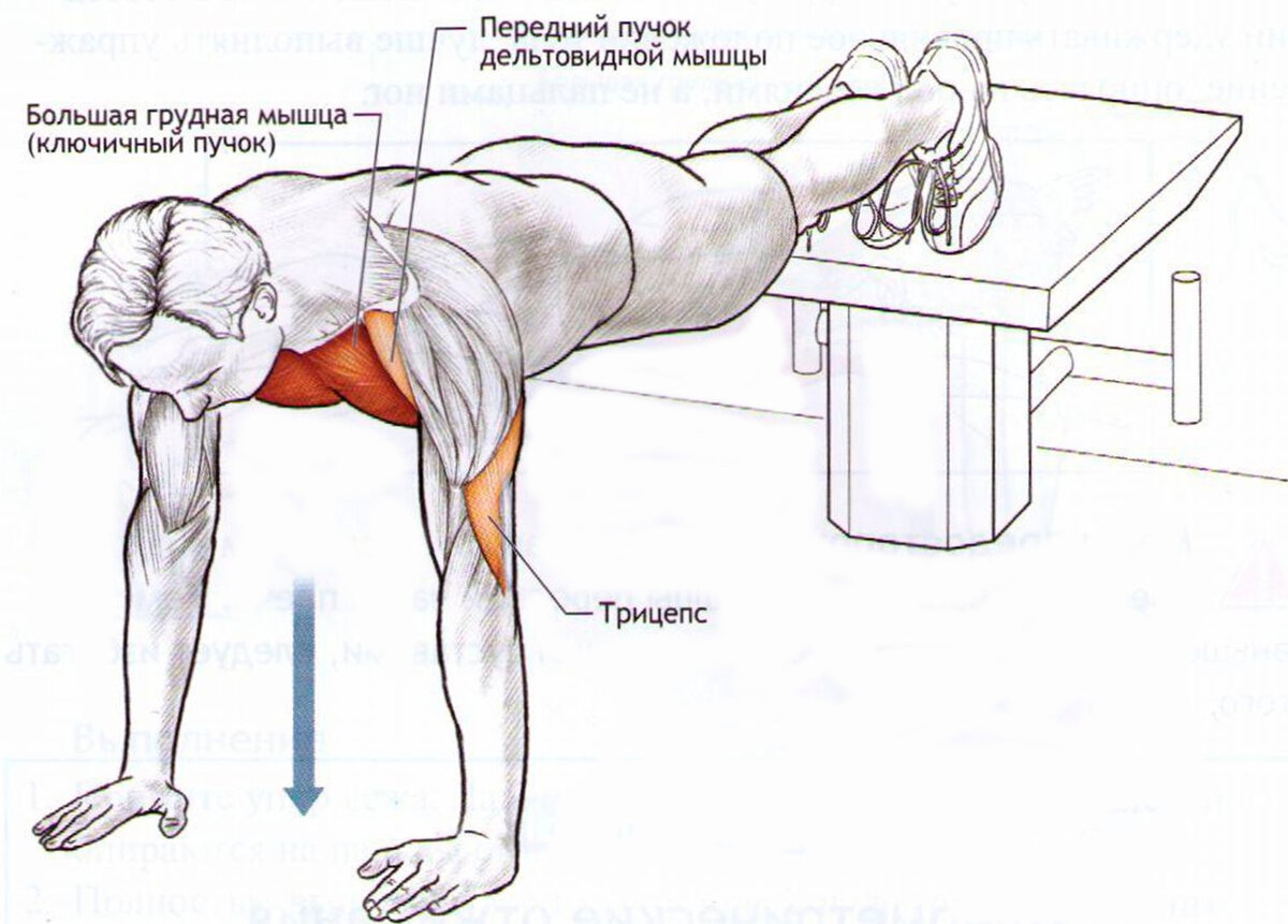 Какие упражнения что качают картинки