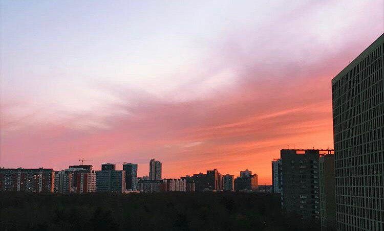 Поставь лайк статье, если интересно. Это поможет развитию канала. Спасибо :)