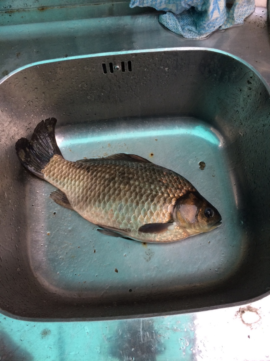 Вот результат 