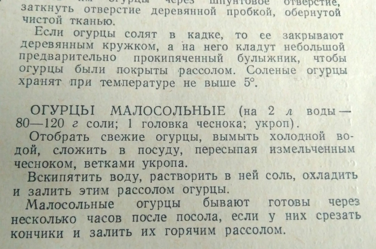 Малосольные огурчики по рецепту из книги 1959 года | Рецепты занятой  хозяйки | Дзен