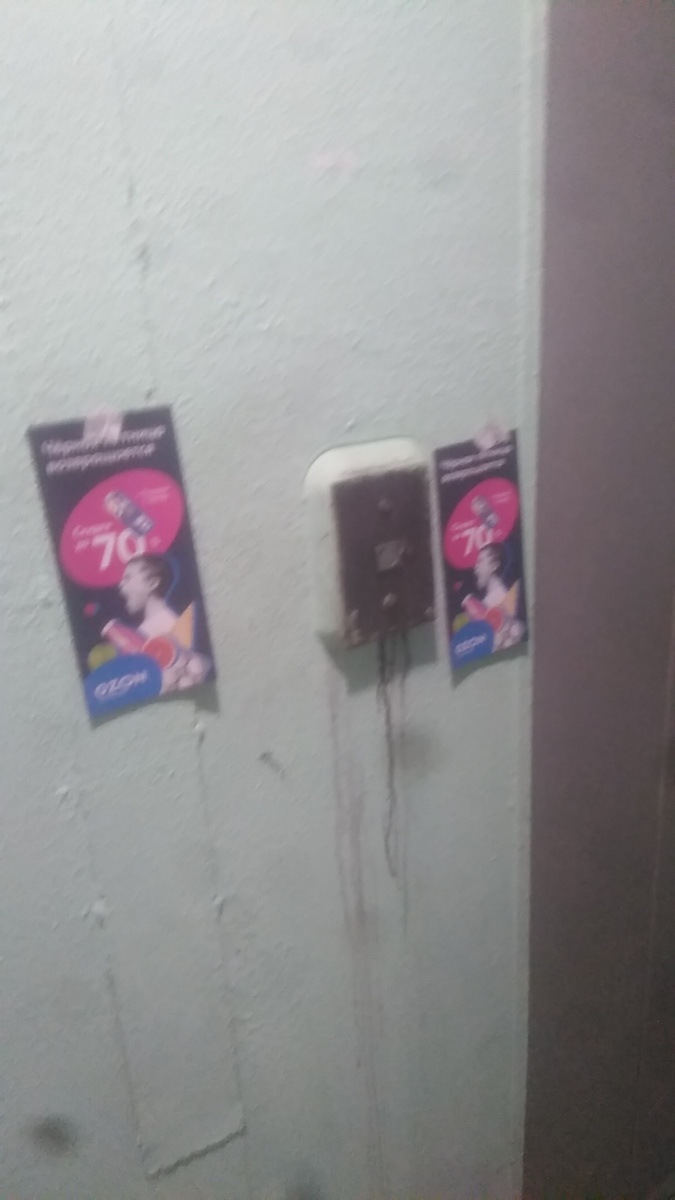 Фото сделанное мною