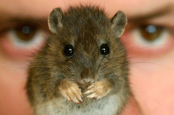 Это история про убийцу в Китае 