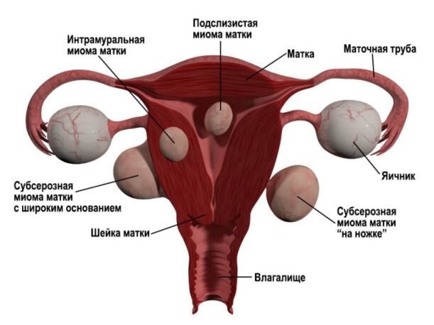 Секс во время месячных: плюсы и минусы, лайфхаки