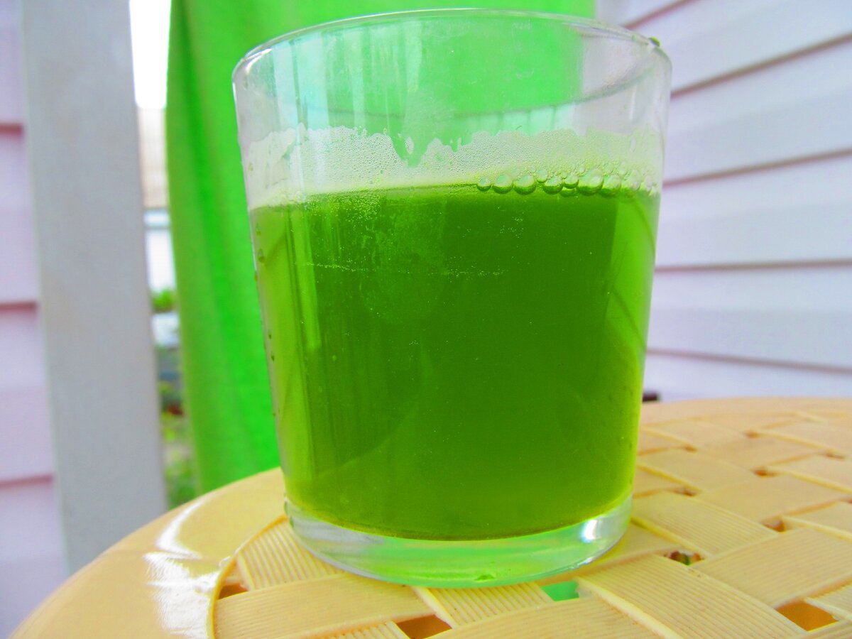 Напиток из зеленого чая и ростков пшеницы, способствующий снижению сахара в крови