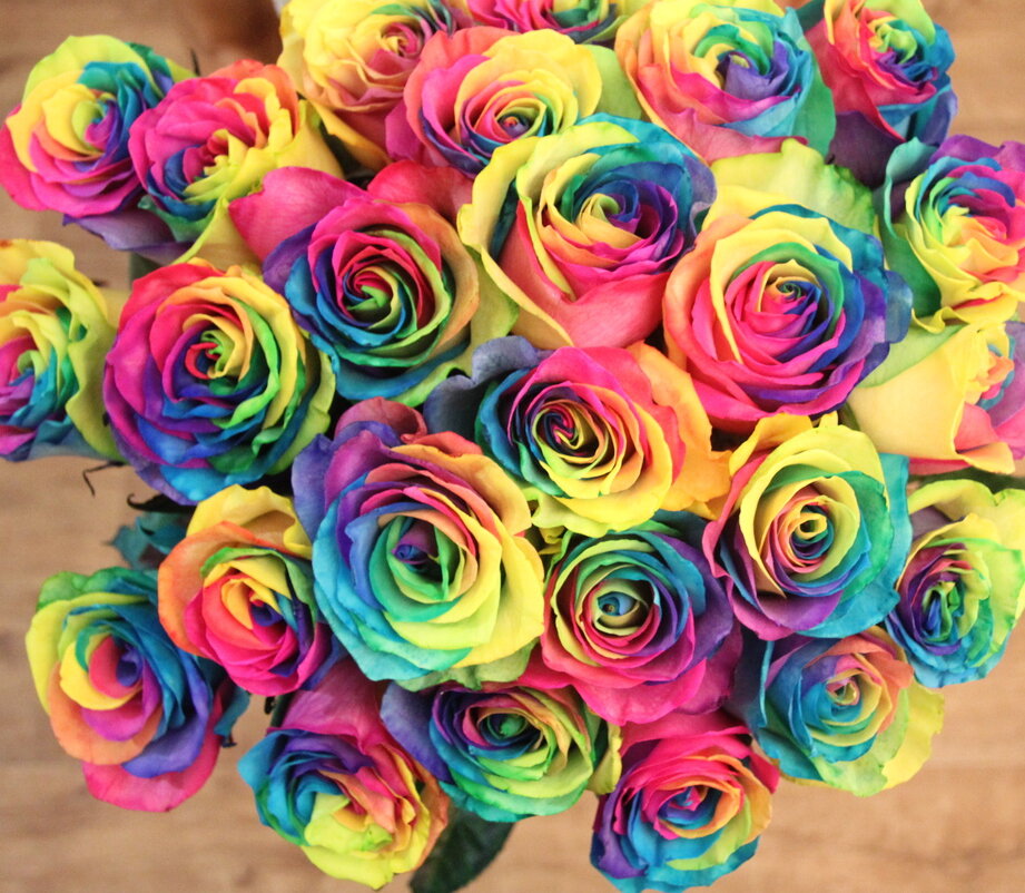 Радужные розы купить геншин. Разноцветные розы. Поле разноцветных роз.
