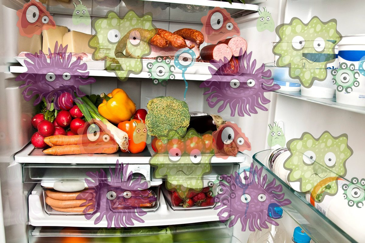 На полках холодильника может жить до нескольких тысяч бактерий!