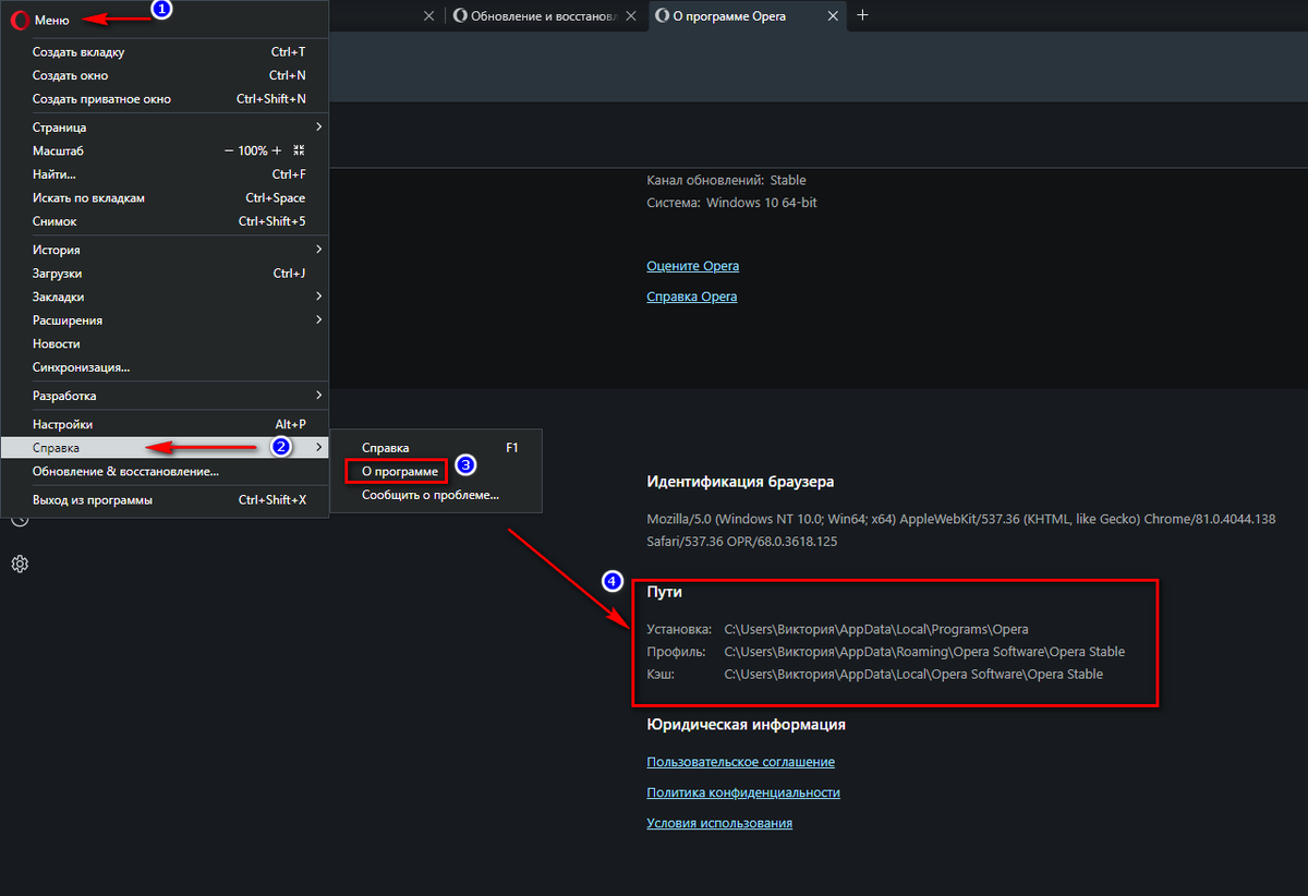 Opera gx где пароли. Opera gx где пароли. где находятся пароли в опере. сохраненные пароли в опере. менеджер паролей опера.