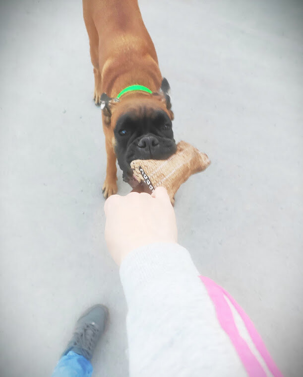 личный архив