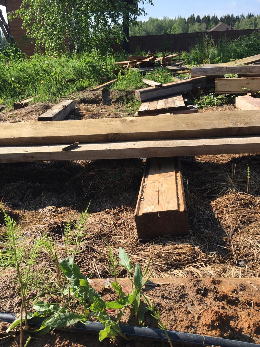 Утку на гнезде почти не видно.