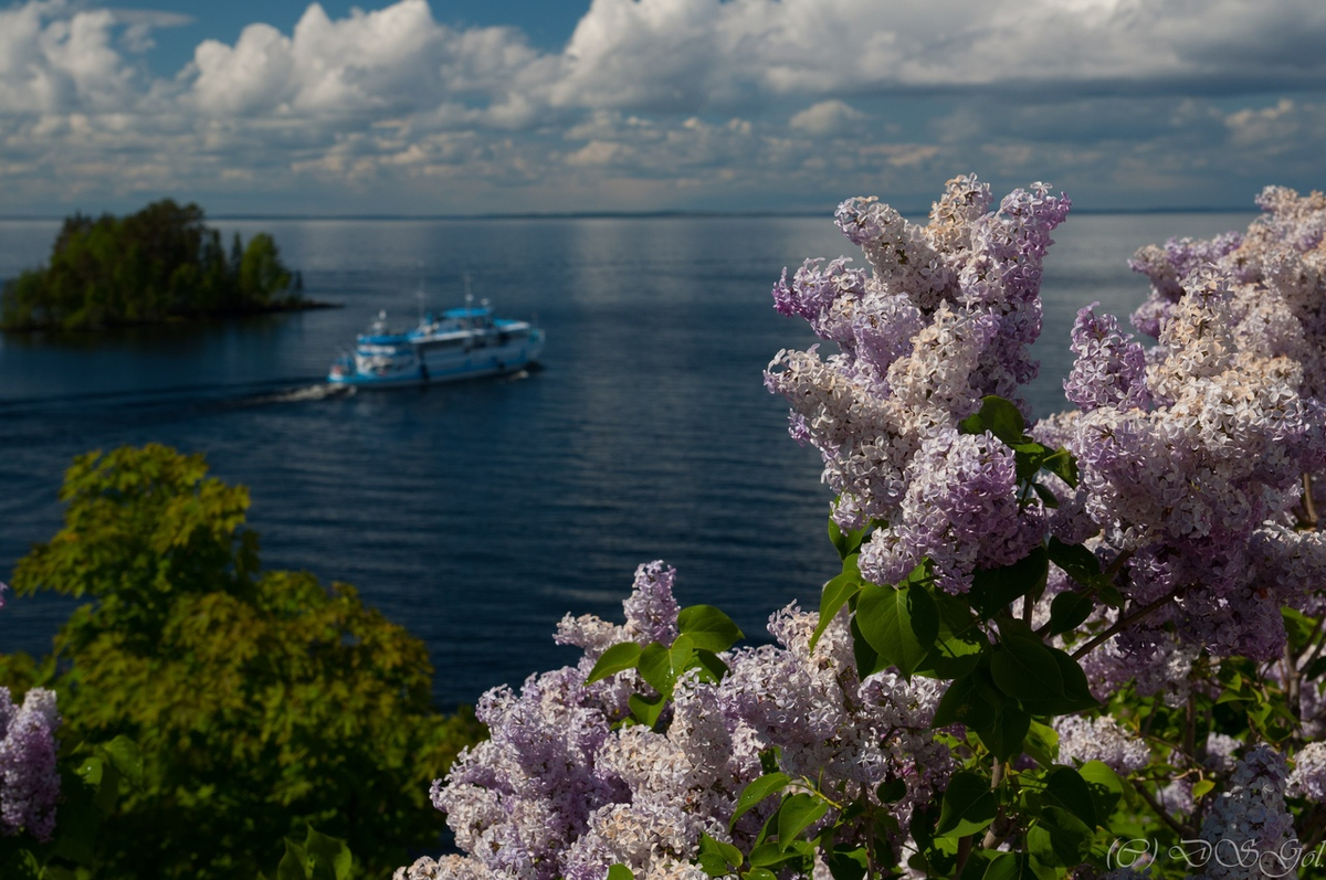 (Фото: Дмитрий Головащенко) 