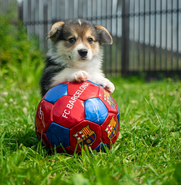 Photo by Egor Vikhrev on Unsplash